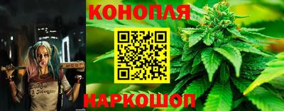 скорость Новозыбков