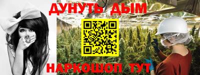 скорость Новозыбков